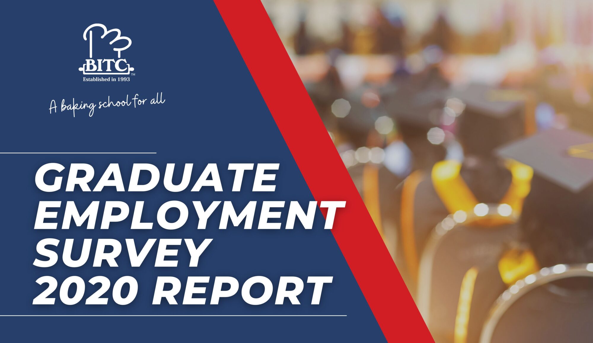 Graduate Employment Survey 2020 BITC